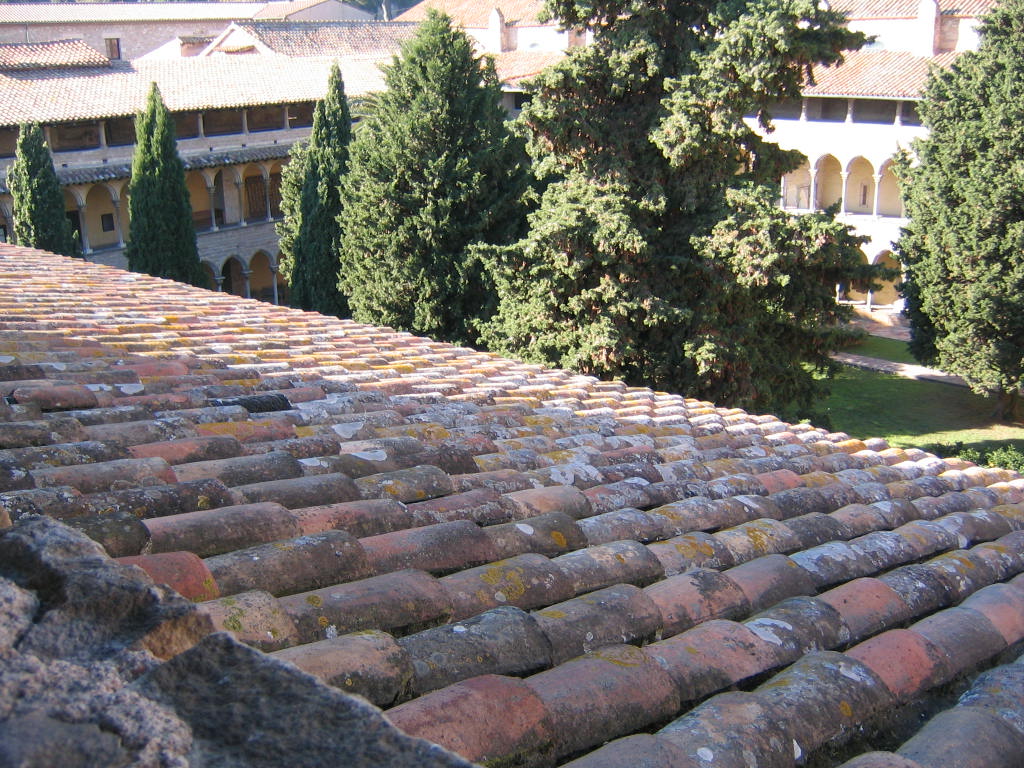 Licheni di Monasterio de Pedralbes  - Barcelona